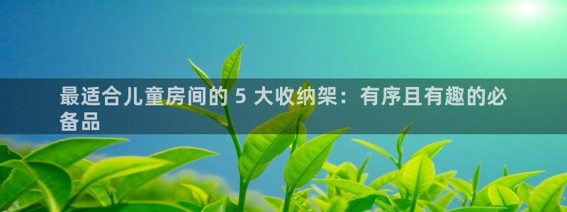 意昂3集团官网网址：最适合儿童房间的 5 大收纳架：