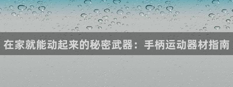 注册意昂3：在家就能动起来的秘密武器：手柄运动器材指